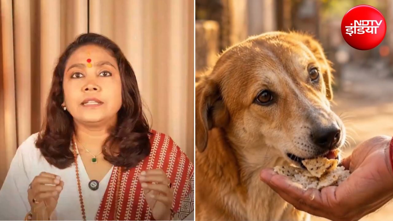 सर्वपितृ अमावस्या पर पितरों को करना है प्रसन्न? एस्ट्रोलॉजर भूमिका ने बताया गाय, कुत्ते, कौवे, चींटियों को खिला दें खाना