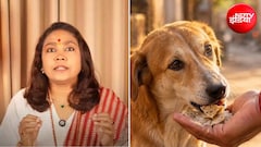 सर्वपितृ अमावस्या पर पितरों को करना है प्रसन्न? एस्ट्रोलॉजर भूमिका ने बताया गाय, कुत्ते, कौवे, चींटियों को खिला दें खाना
