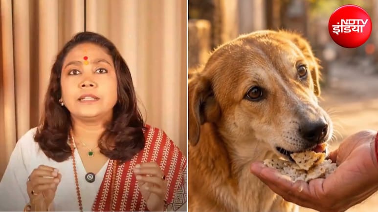 सर्वपितृ अमावस्या पर पितरों को करना है प्रसन्न? एस्ट्रोलॉजर भूमिका ने बताया गाय, कुत्ते, कौवे, चींटियों को खिला दें खाना