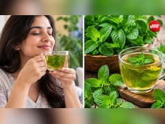 चाय की जगह पिएं पुदीना हर्बल टी, पाचन होगा बेहतर और पेट रहेगा दुरुस्त