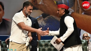 क्या है सपा के 30 के जवाब में कांग्रेस का 185 वाला ऑफर, कैसे साथ आएंगे 'यूपी के लड़के'?