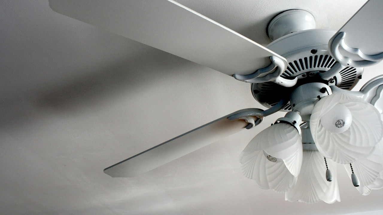 Types of fans you can grab on discount from Amazon Great Indian Sale early deals Types of fans you can grab on discount from Amazon Great Indian Sale early deals