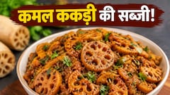 आज क्या बनाऊं: सिर्फ सब्जी नहीं, पोषण का पावरहाउस है कमल ककड़ी, जानें आसान रेसिपी