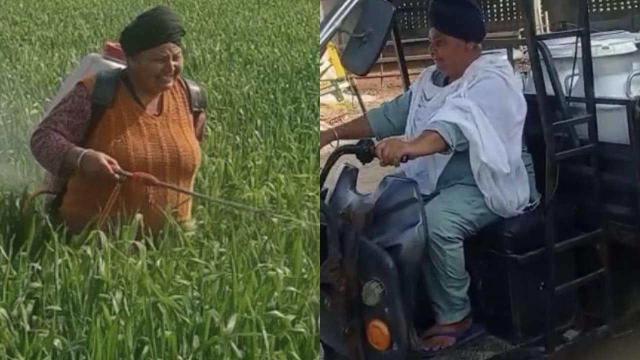 खेत और डेयरी से ऐसा प्रेम की 'शादी' करना भूल गई करमजीत, कनाडा की नागरिकता छोड़ भाई आया हाथ बंटाने
