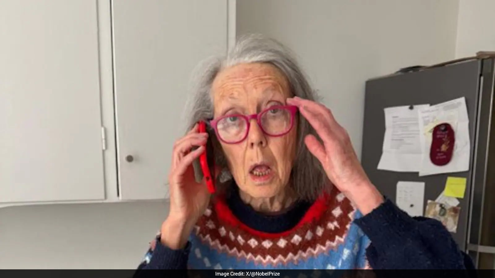 "It Seems A Little Insane": Anne Carson Was Sweeping Her Kitchen Floor When She Won Nobel