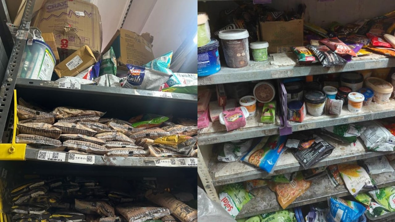 Delhi Food Body Finds Lizard At Reliance Retail, Cockroaches At Zepto Store
