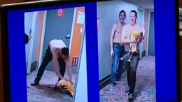 कनाडा से अमेरिका आया टूरिस्ट, 40 बीयर पीकर जानवर के साथ की ऐसी हरकत, CCTV में कैद हो गया कांड
