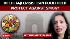Delhi Pollution Crisis: Toxic Yamuna Foam, Poor AQI; Can Food Help Protect Against Smog?