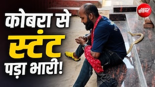 रील बनाते समय कोबरा ने ली जान! पुरी में मशहूर स्नेक कैचर तपन कुमार की मौत