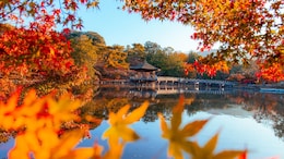 Thinking Of Visiting Tokyo? October Might Be The Perfect Time
