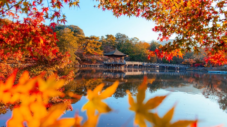 Thinking Of Visiting Tokyo? October Might Be The Perfect Time