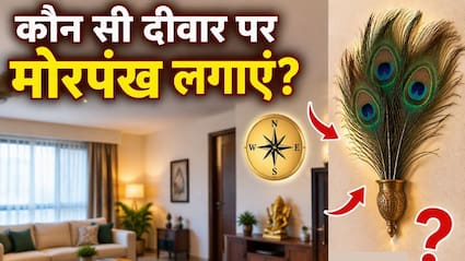 घर के मंदिर में कितने मोर पंख रखने चाहिए? एस्ट्रोलॉजर रजत से जानिए मोर पंख कौन सी दीवार पर लगाना चाहिए