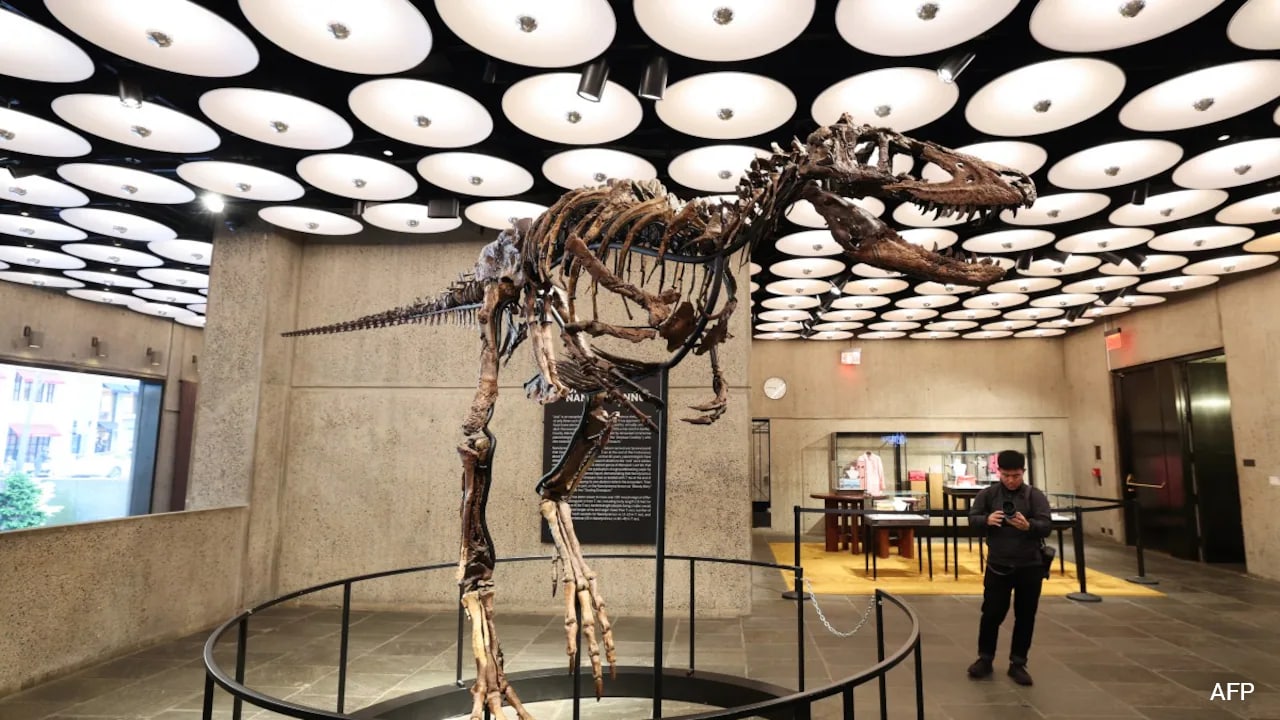 Dinosaur Skeleton 'Jodi' Sold To 'Mystery Buyer' For $47.3 Million In US