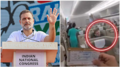 घूमने विदेश निकले राहुल गांधी... BJP ने फ्लाइट का वीडियो शेयर कर साधा निशाना, कांग्रेस का पलटवार