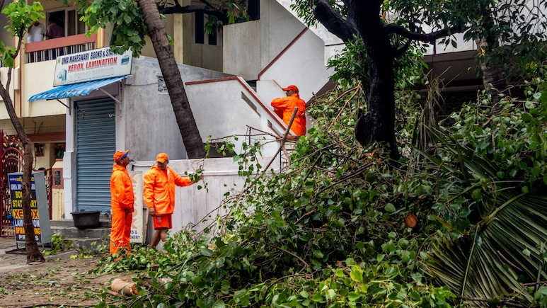 Andhra Fire Services Clear Over 10,000 Fallen Trees After Cyclone Arnab