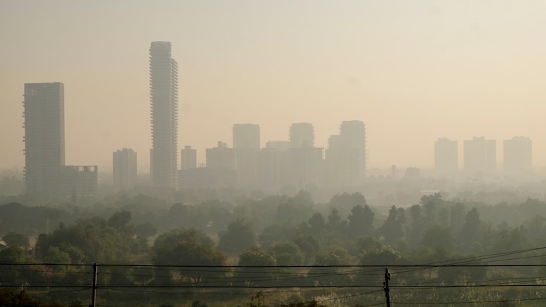 Delhi Records Month's Lowest Minimum Temperature; Air Quality Moderate In City