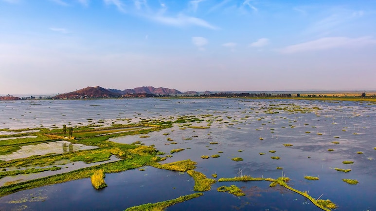 The World's Only Floating National Park Is Located In India And Rests On A Lake