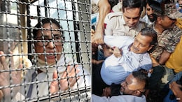 Mamata Banerjee, Arvind Kejriwal, P Vijayan Detained During Protest Near Delhi's Jantar Mantar