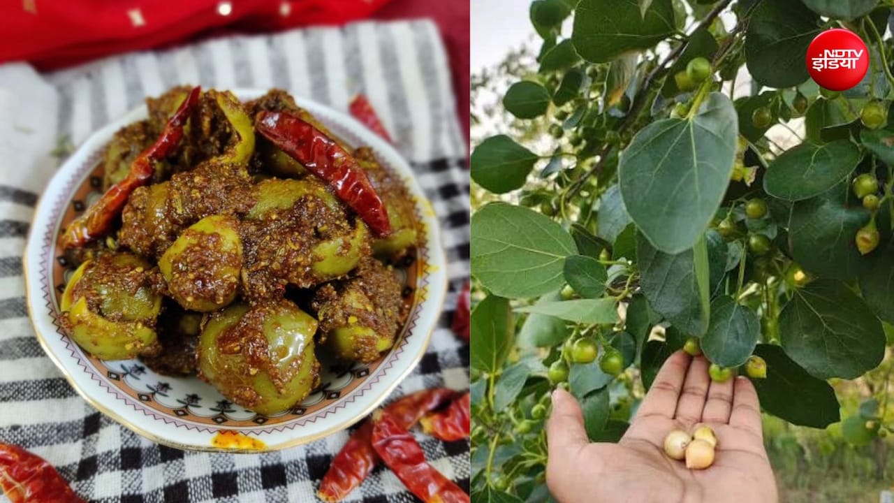 90s में हर घर में बनता था इस फल का अचार, GenZ को नाम भी लगता है फनी, पुराने लोग खाकर होते थे सेहत के धनी