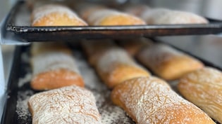 This Kerala Bakery Business Made Rs 822 Crore In FY23 Without Raising A Single Funding Round