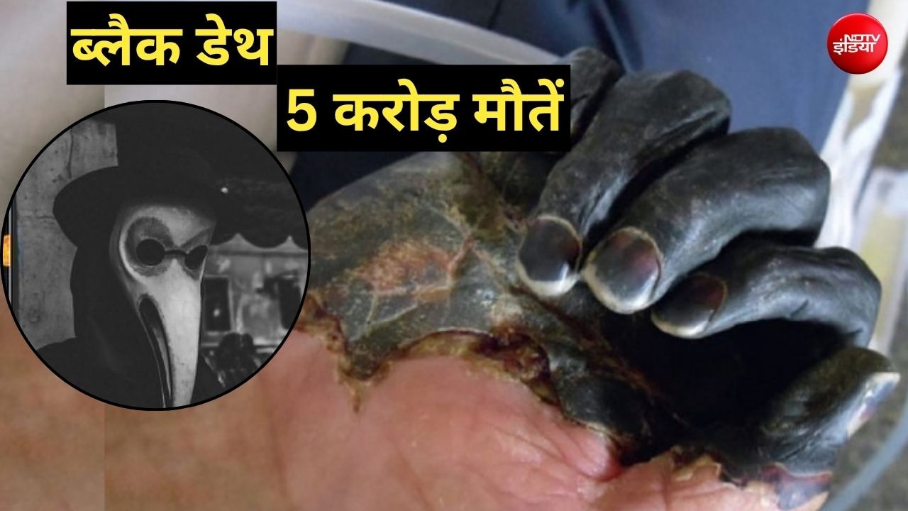 ब्लैक डेथ और 5 करोड़ मौतें, क्‍यों प्‍लेग का नाम सुनते ही बजता है अलार्म, डरावना है इतिहास