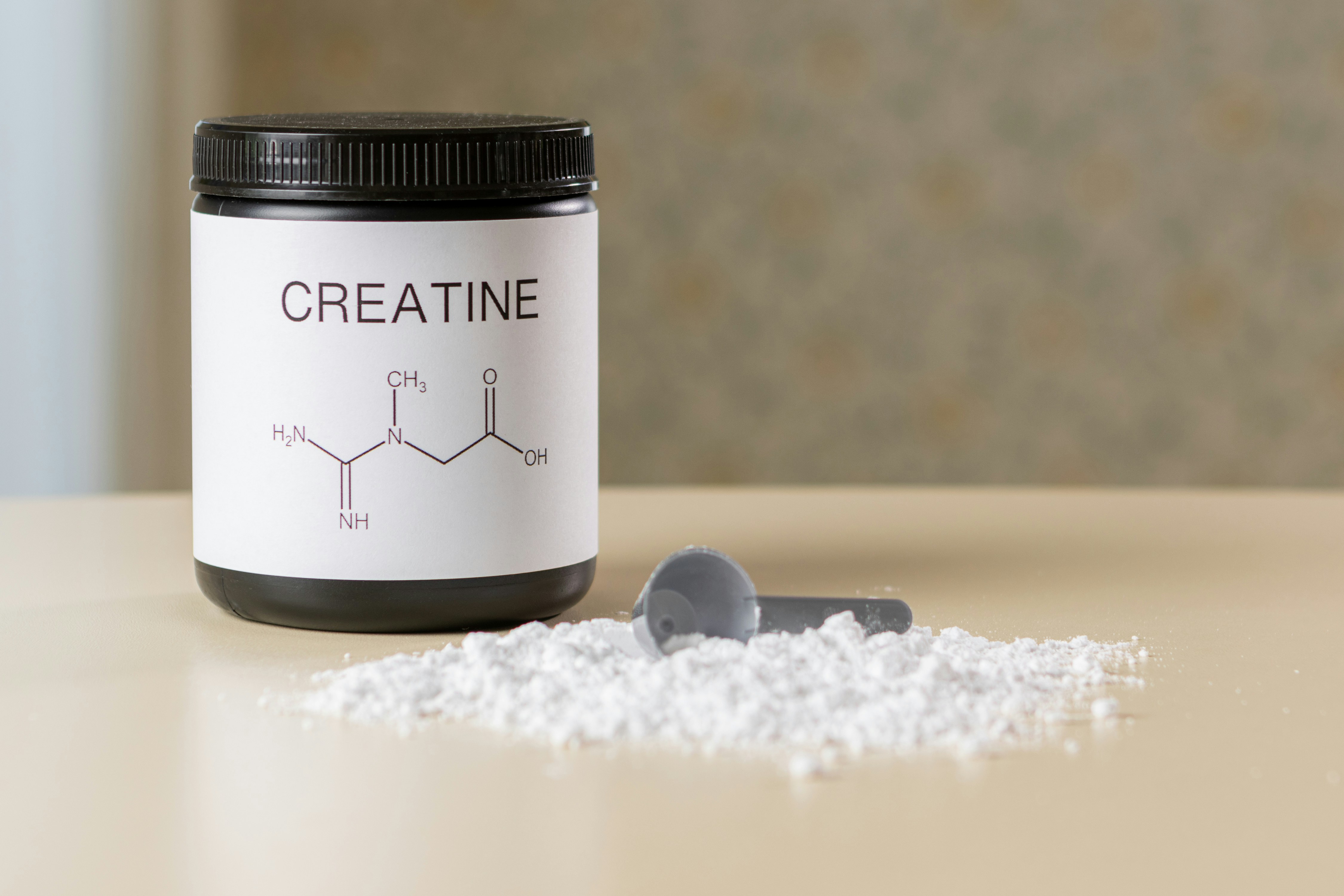 Creatine is stored mainly in the muscles, with smaller amounts found in the brain