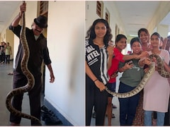 गर्ल्स हॉस्टल के बाथरूम में फन फैलाए बैठा था 10 फीट लंबा अजगर, देखते ही उड़े लड़कियों के होश, चीखने-चिल्लाने लगीं