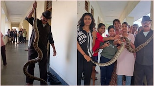 गर्ल्स हॉस्टल के बाथरूम में फन फैलाए बैठा था 10 फीट लंबा अजगर, देखते ही उड़े लड़कियों के होश, ऐसे हुआ रेस्क्यू