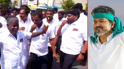 TVK Cadre Celebrates As Party Surges Ahead In Dharapuram And Madurantakam Bypolls