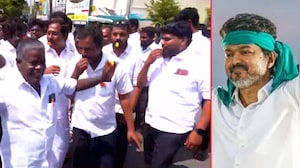 TVK Cadre Celebrates As Party Surges Ahead In Dharapuram And Madurantakam Bypolls