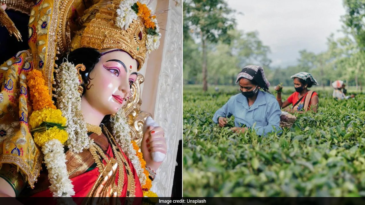 Assam Announces 20% Durga Puja Bonus For Over 10 Lakh Tea Garden Workers
