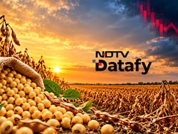 India's Soybean Output Shrinks Despite More Sowing As Dry Spells Hit Key States
