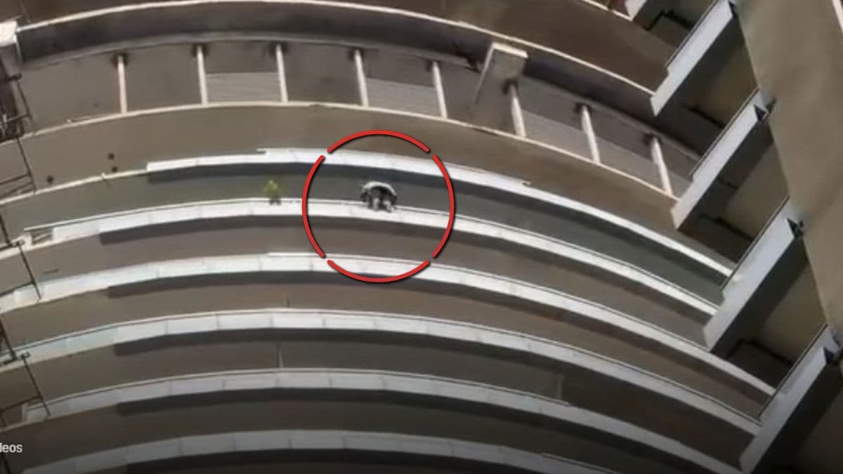 Techie dies after jumping from Noida high-rise; police cite alimony, son’s health and debt