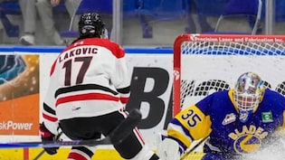 Detroit Red Wings Have Their Eyes On Washington Capitals&rsquo; Rising Prospect In Dylan Larkin Deal