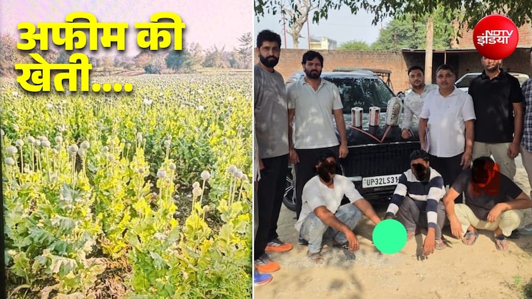 अफीम की खेती, कच्चे माल की सप्लाई, नशे का कारोबार... 4 राज्यों में फैले ड्रग्स नेटवर्क का भंडाफोड़, 7 गिरफ्तार