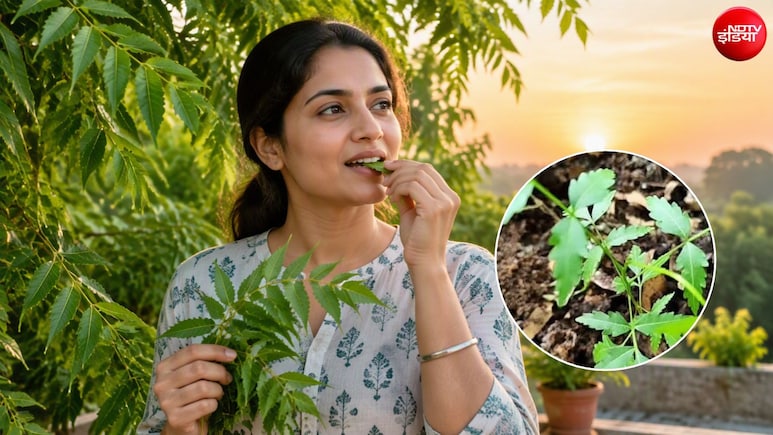 सुबह खाली पेट नीम के पत्ते चबाने से क्या होता है?&nbsp;