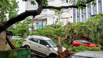 Cyclone Arnab: 5 Dead In Andhra Pradesh, 50,000 Trees Uprooted As Storm Leaves Trail Of Destruction