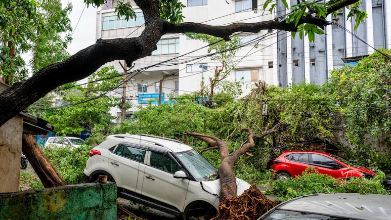 Cyclone Arnab: 5 Dead In Andhra Pradesh, 50,000 Trees Uprooted As Storm Leaves Trail Of Destruction