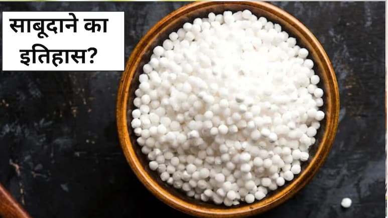 आप जो साबूदाना व्रत में खाते हैं, उसका युद्ध से है कनेक्शन, जानें इसके पीछे की दिलचस्प कहानी
