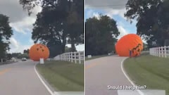 Giant Runaway Pumpkin Breaks Free, Rolls Down Road In US, Video Goes Viral
