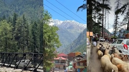Why Is Kasol Called 'Mini Israel'? British Traveller Shares His Take