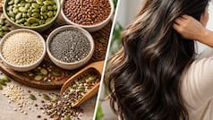 ​घने और लंबे बालों का सीक्रेट? ये 4 सीड्स बदल देंगे आपके बालों की रंगत, बस ऐसे करें डाइट में शामिल