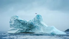 Canadian High Diver Becomes First Woman To Dive From A Free-Standing Iceberg