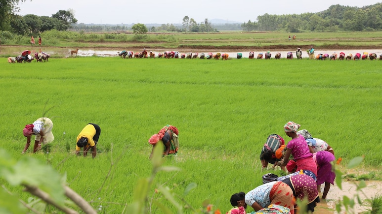 World Food Day: Innovation From Investment To Impact