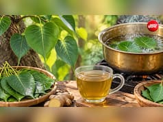 पीपल के पत्तों का काढ़ा कैसे बनाएं? नोट करें रेसिपी और फायदे