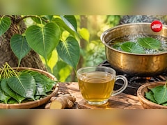 पीपल के पत्तों का काढ़ा कैसे बनाएं? नोट करें रेसिपी और फायदे