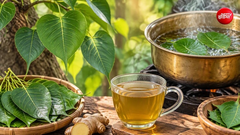 पीपल के पत्तों का काढ़ा कैसे बनाएं? नोट करें रेसिपी और फायदे