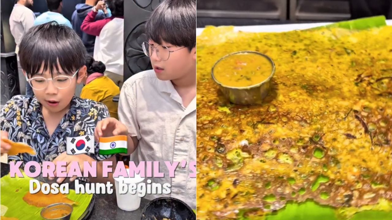 Video: Korean Family Tries Bengaluru's Most Popular Dosas, Picks A Favourite