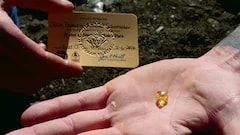 US Man Finds Rare 6-Carat Yellow Diamond At Famous Arkansas Park