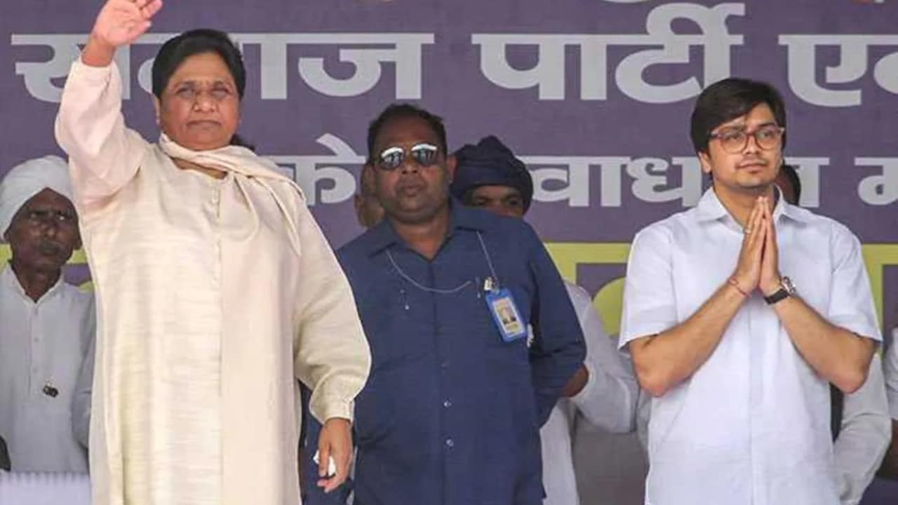 Mayawati Praises Nephew Akash Anand For 'Prioritising Party Over Family'